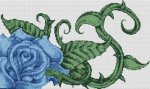(image for) Blue Rose
